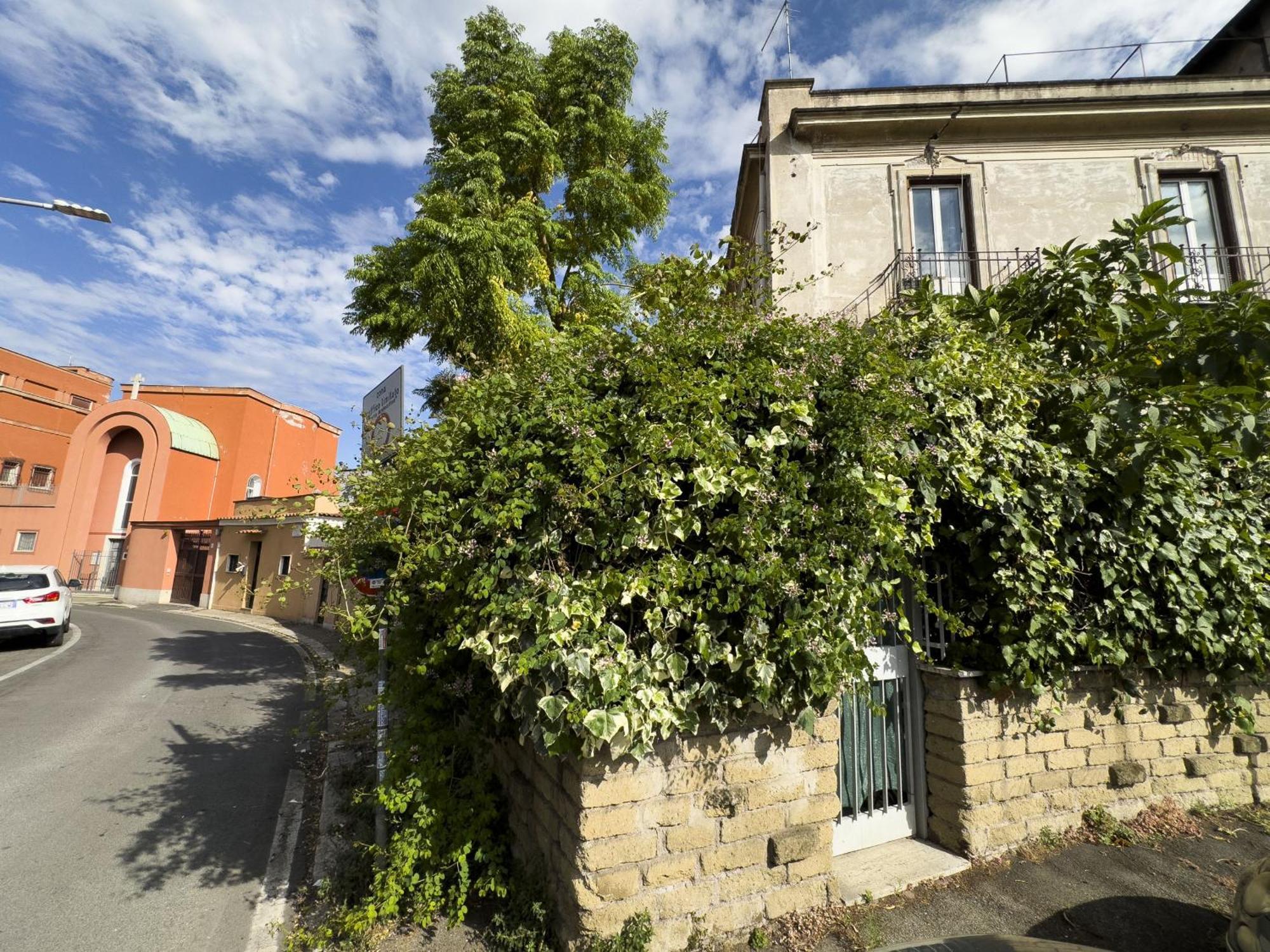 Lovely Garden In Beautiful San Saba *